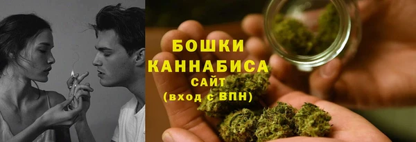 стафф Кострома