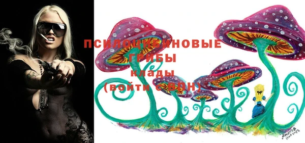 мяу мяу мука Мурманск