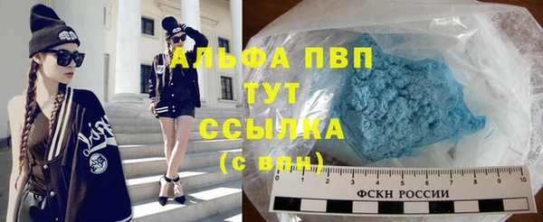 стафф Кострома