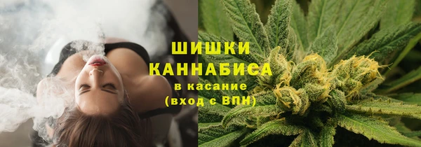 бошки Чита