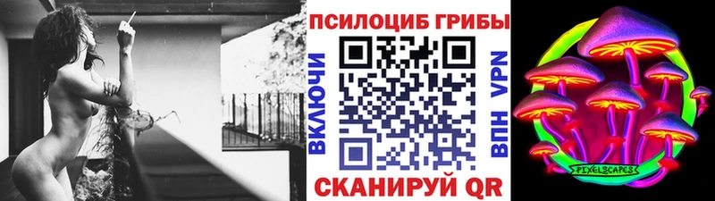 Галлюциногенные грибы GOLDEN TEACHER  Купить закладки  Кириллов 
